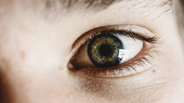 Gdzie lepiej udać się na badanie wzroku – okulista a optometrysta?